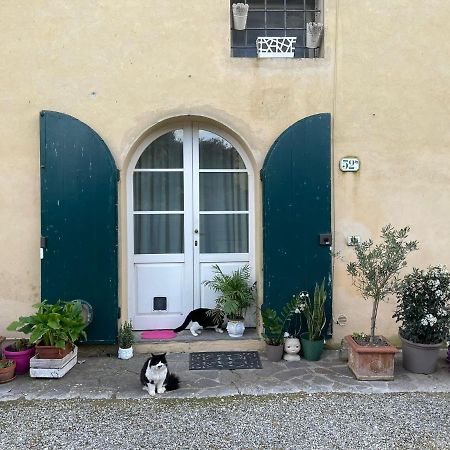 Appartamento Casa Nel Chianti A Siena Ponte A Bozzone Esterno foto